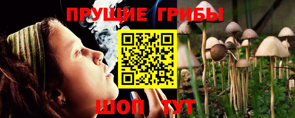 Галлюциногенные грибы Cubensis Михайловск